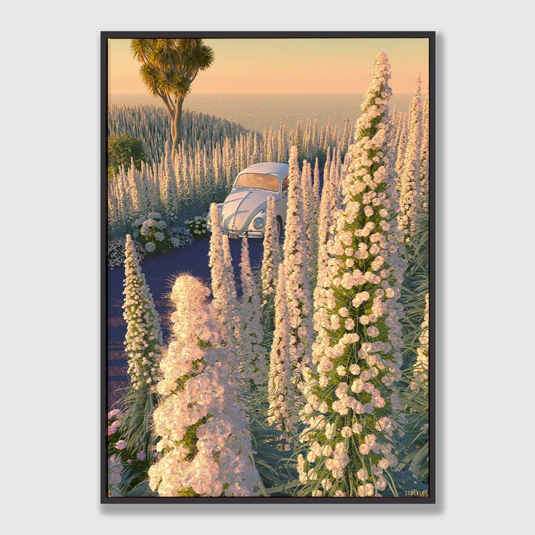 Echium Drive Limited Edition Canvas Print by Simon Stockley