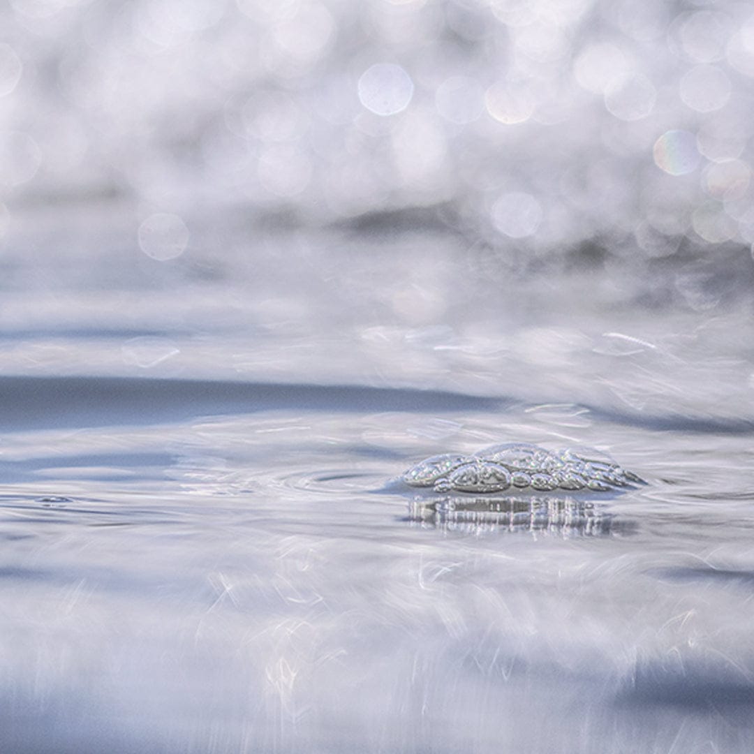 Echoes in Light Photographic Print by Crystal May