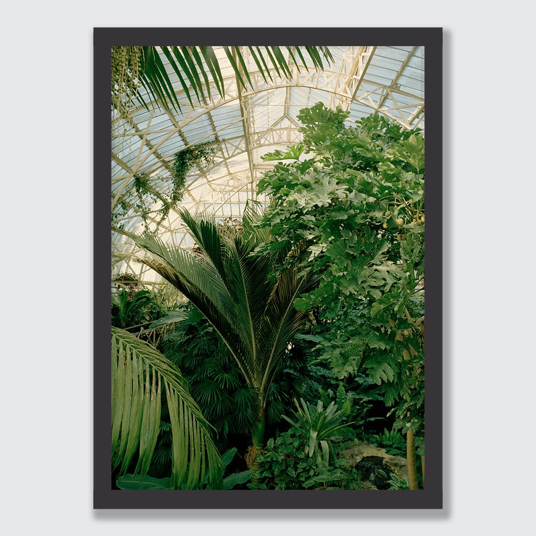 Evergreen Dream Limited Edition Photographic Print by Amy Wybrow