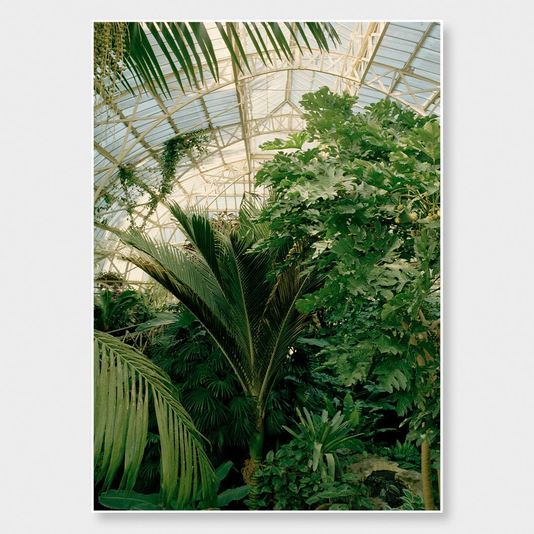 Evergreen Dream Limited Edition Photographic Print by Amy Wybrow