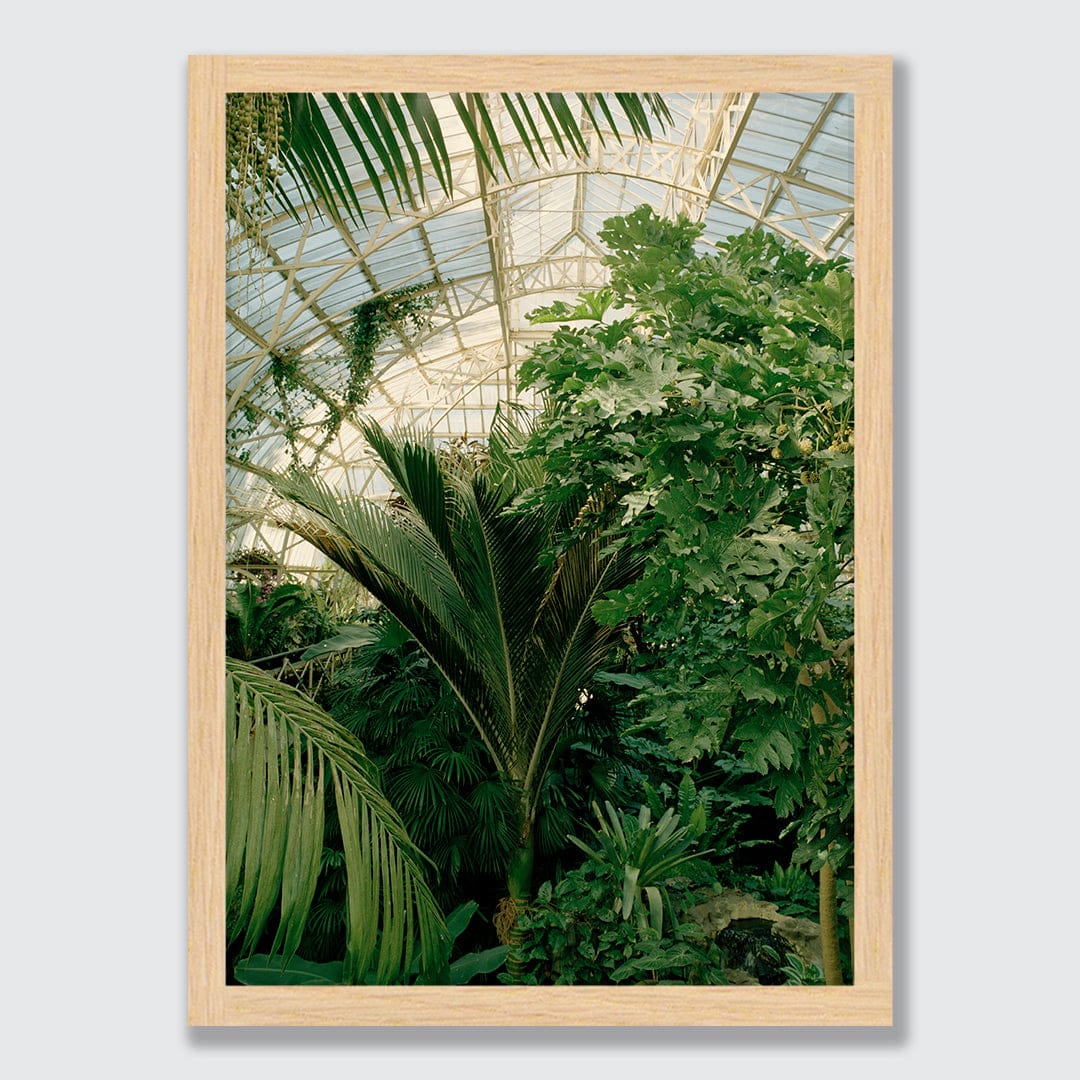 Evergreen Dream Limited Edition Photographic Print by Amy Wybrow