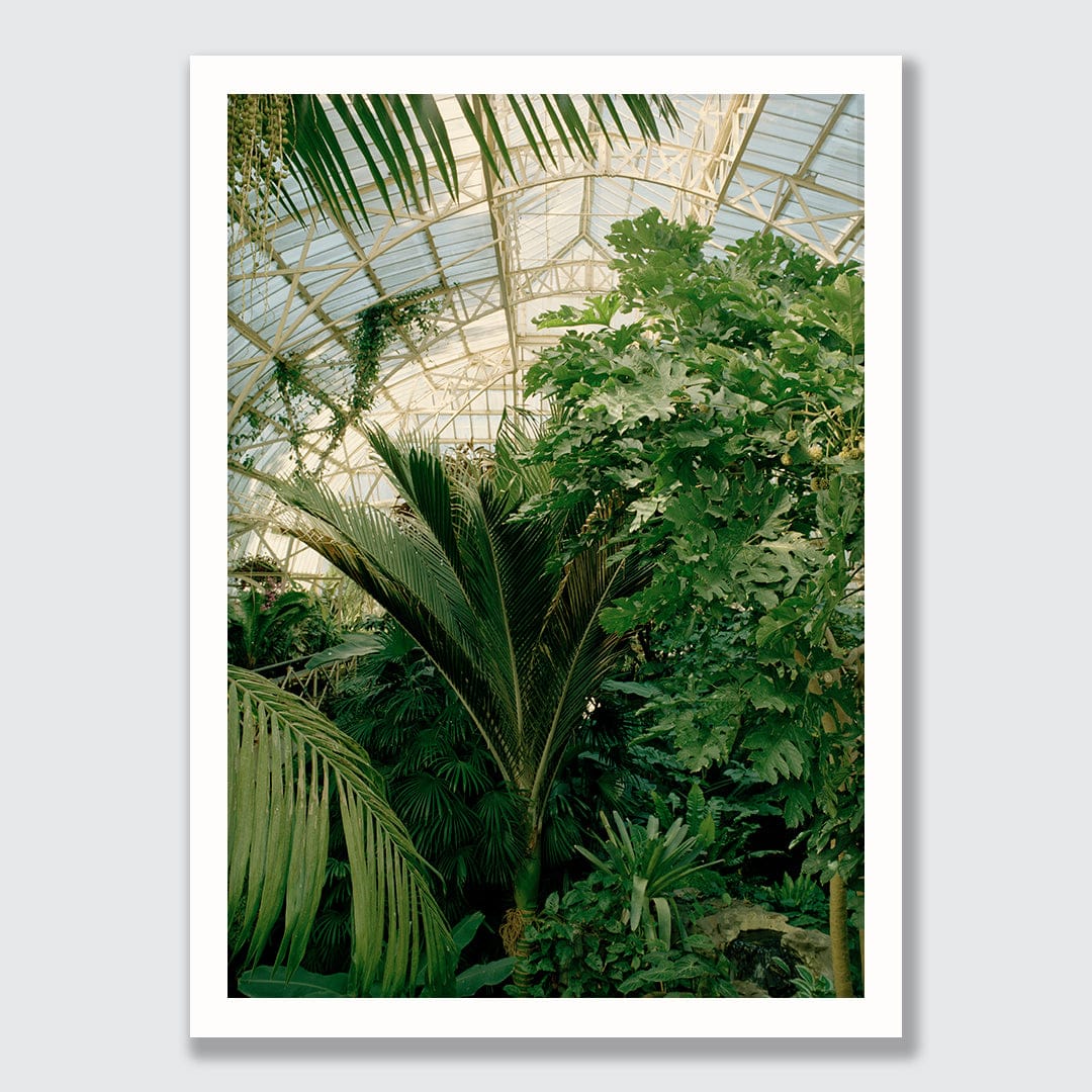 Evergreen Dream Limited Edition Photographic Print by Amy Wybrow