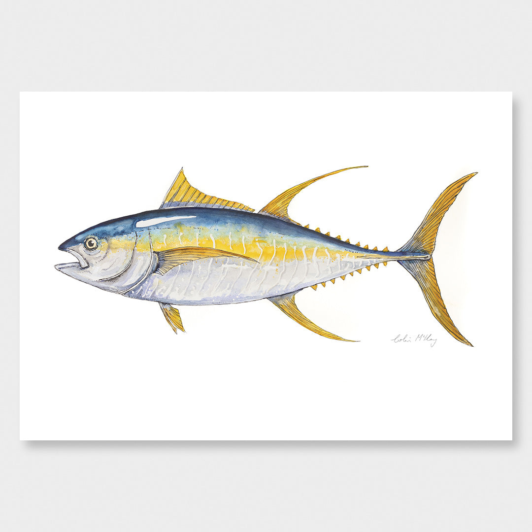 &#39;Finny&#39; Yellowfin Tuna Art Print by Colin McKay
