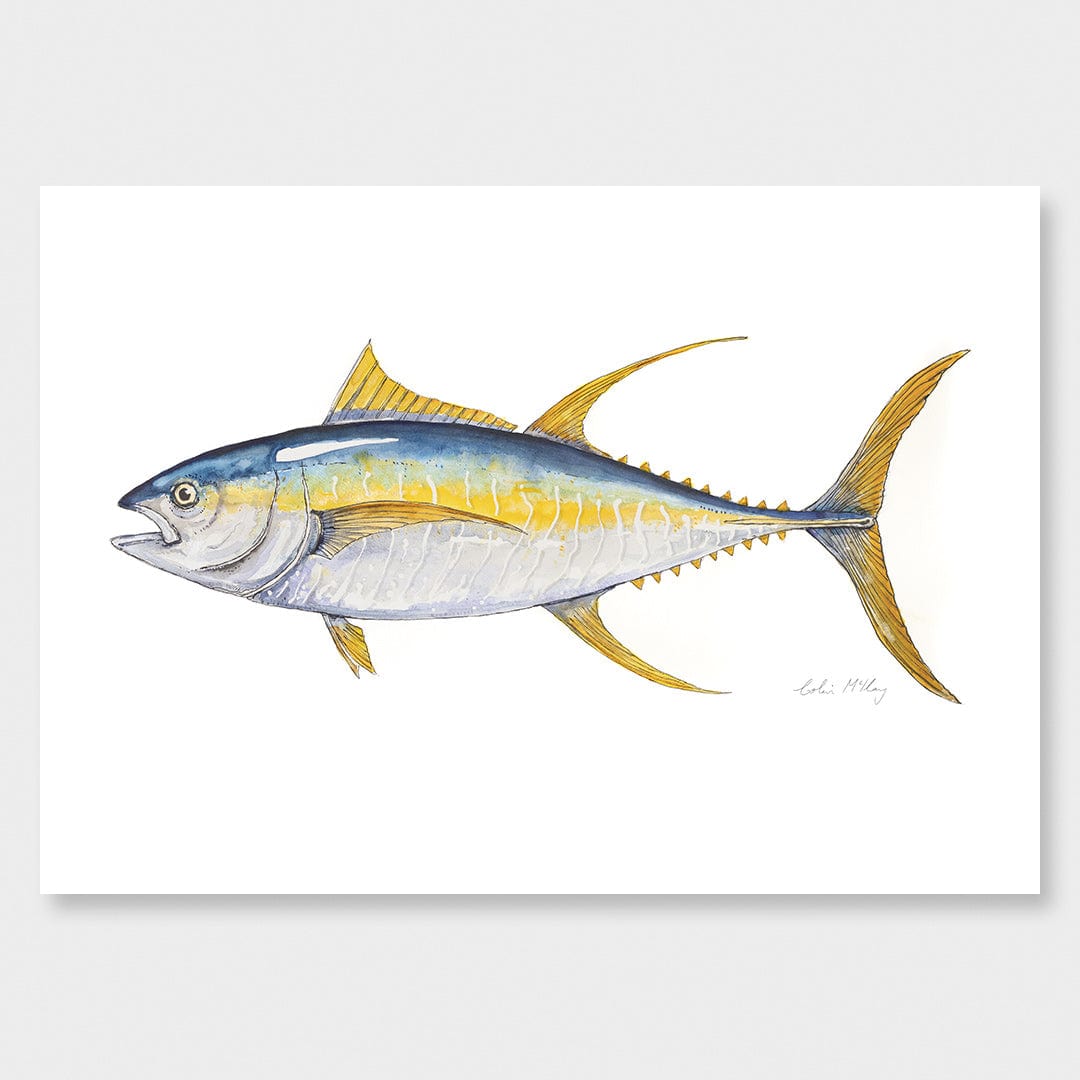 'Finny' Yellowfin Tuna Art Print by Colin McKay