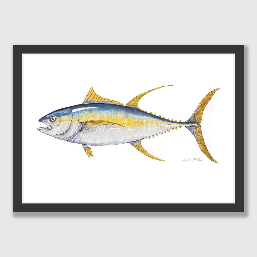 'Finny' Yellowfin Tuna Art Print by Colin McKay