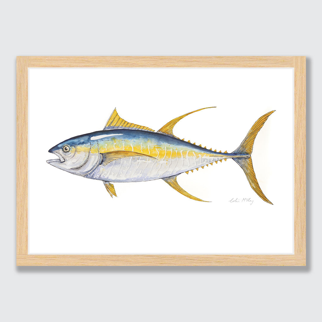 &#39;Finny&#39; Yellowfin Tuna Art Print by Colin McKay