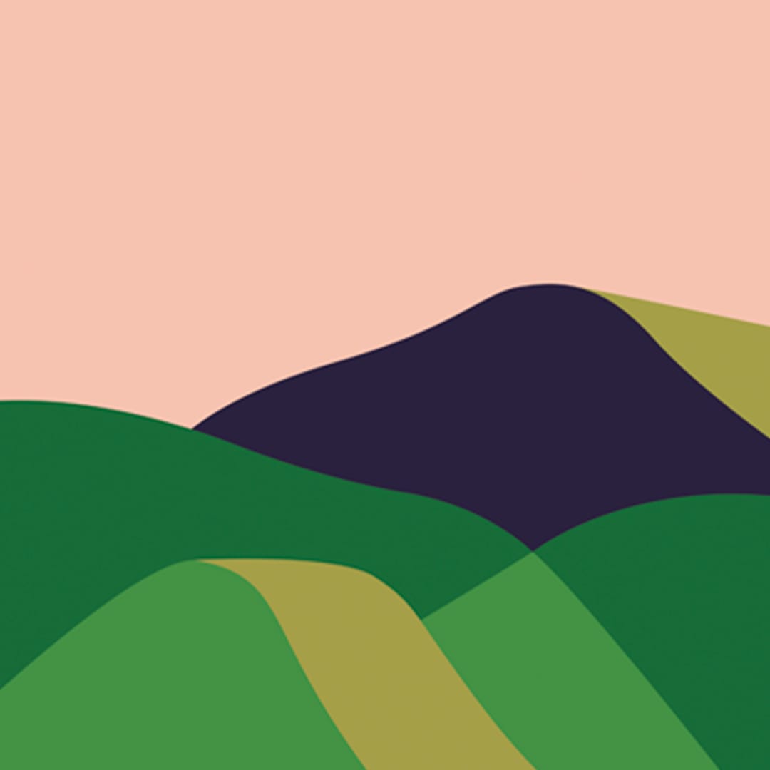 First Light Art Print by Alice Berry