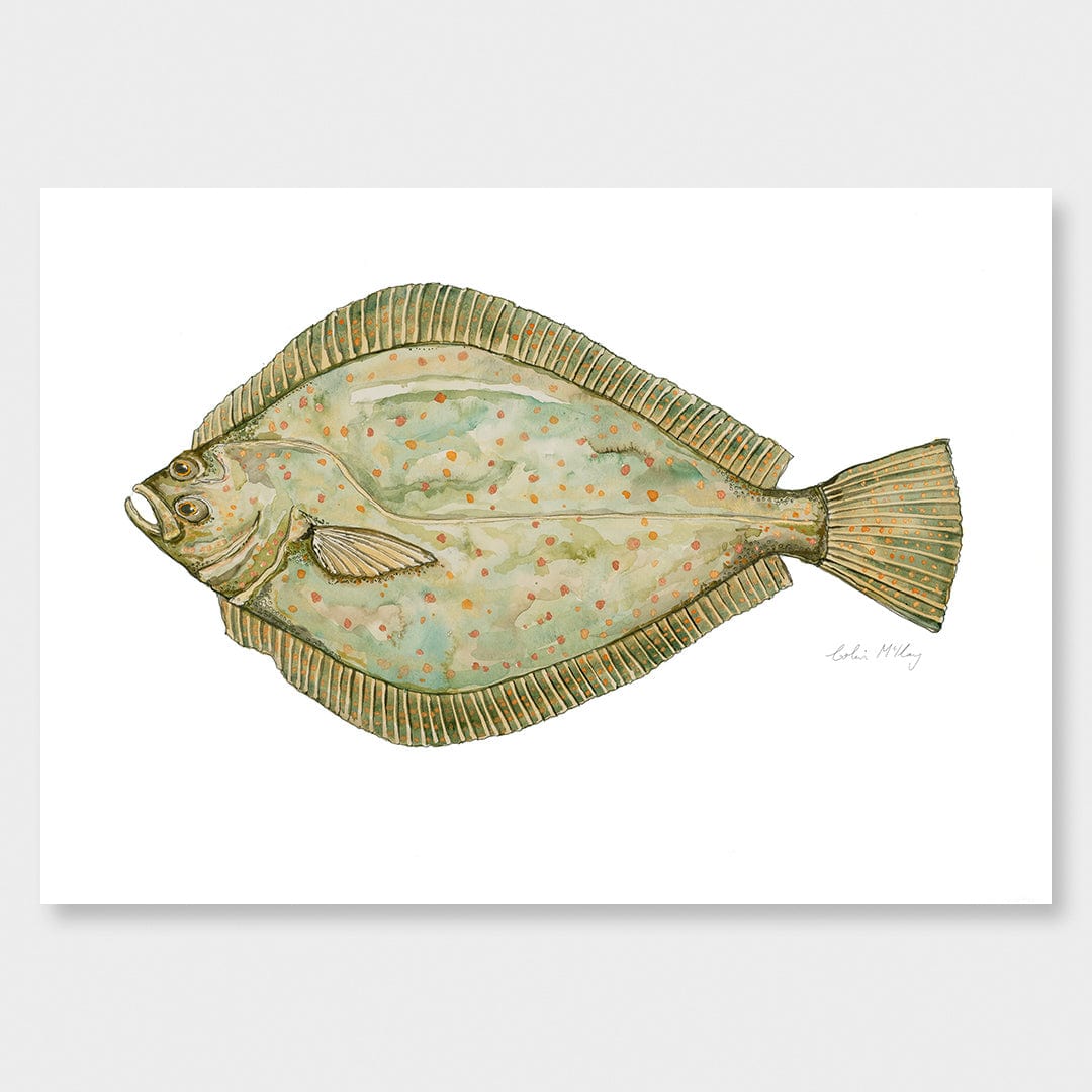 'Flow' Flounder Art Print by Colin McKay