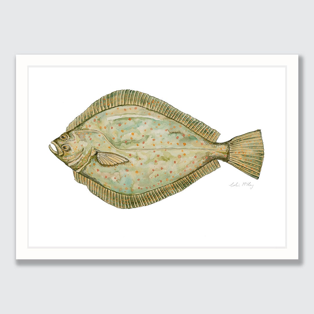 'Flo' Flounder Art Print by Colin McKay