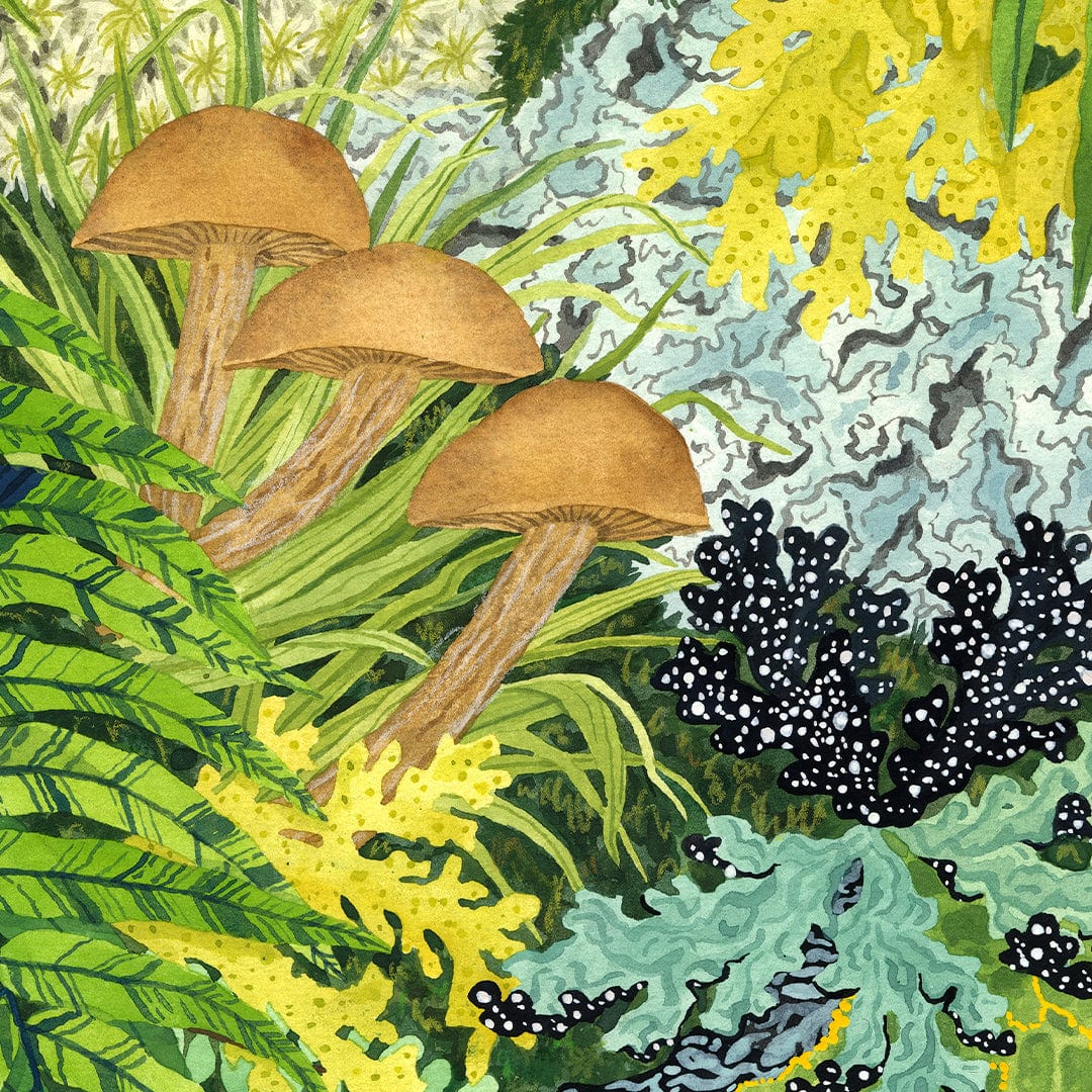 Fronds and Fungi Art Print by Emma Huia Lovegrove