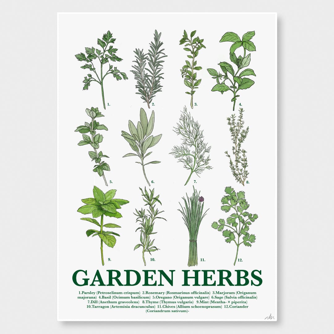 Garden Herbs Art Print by Nathan Miller