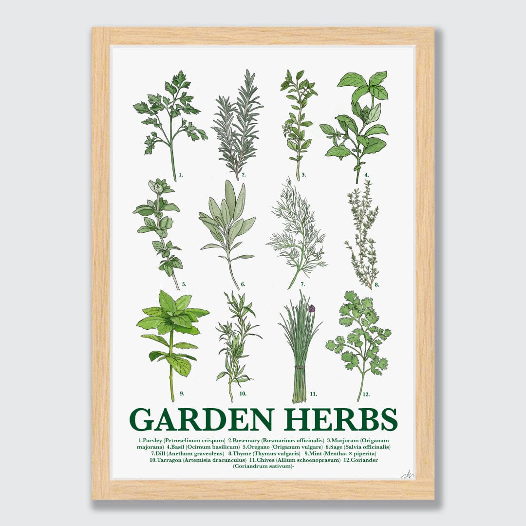 Garden Herbs Art Print by Nathan Miller