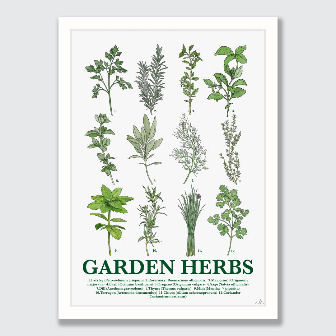 Garden Herbs Art Print by Nathan Miller