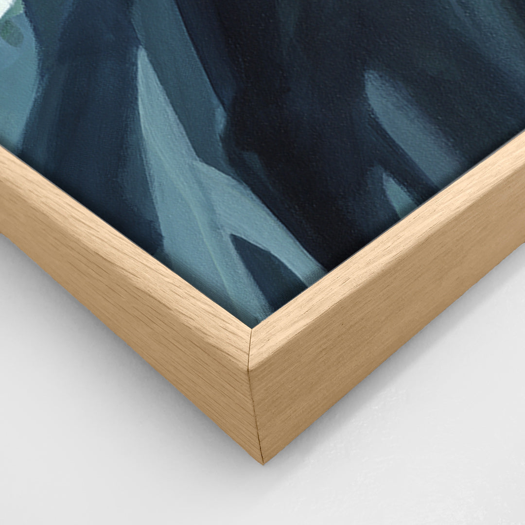 Haast Limited Edition Canvas Art Print by Holly Roach
