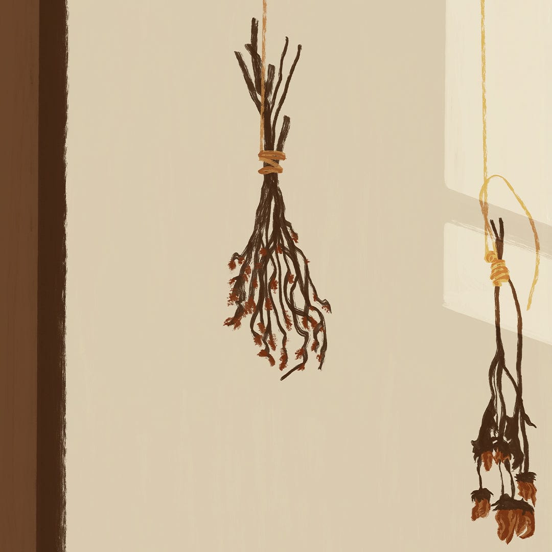 Hanging Dried Flowers Art Print by Home Time