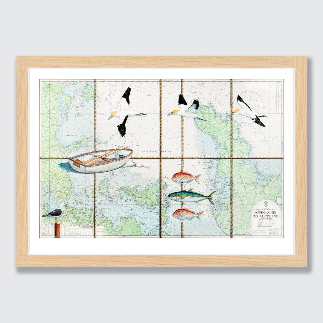 Hauraki Gulf Gannets Limited Edition Art Print by Justine Hawksworth
