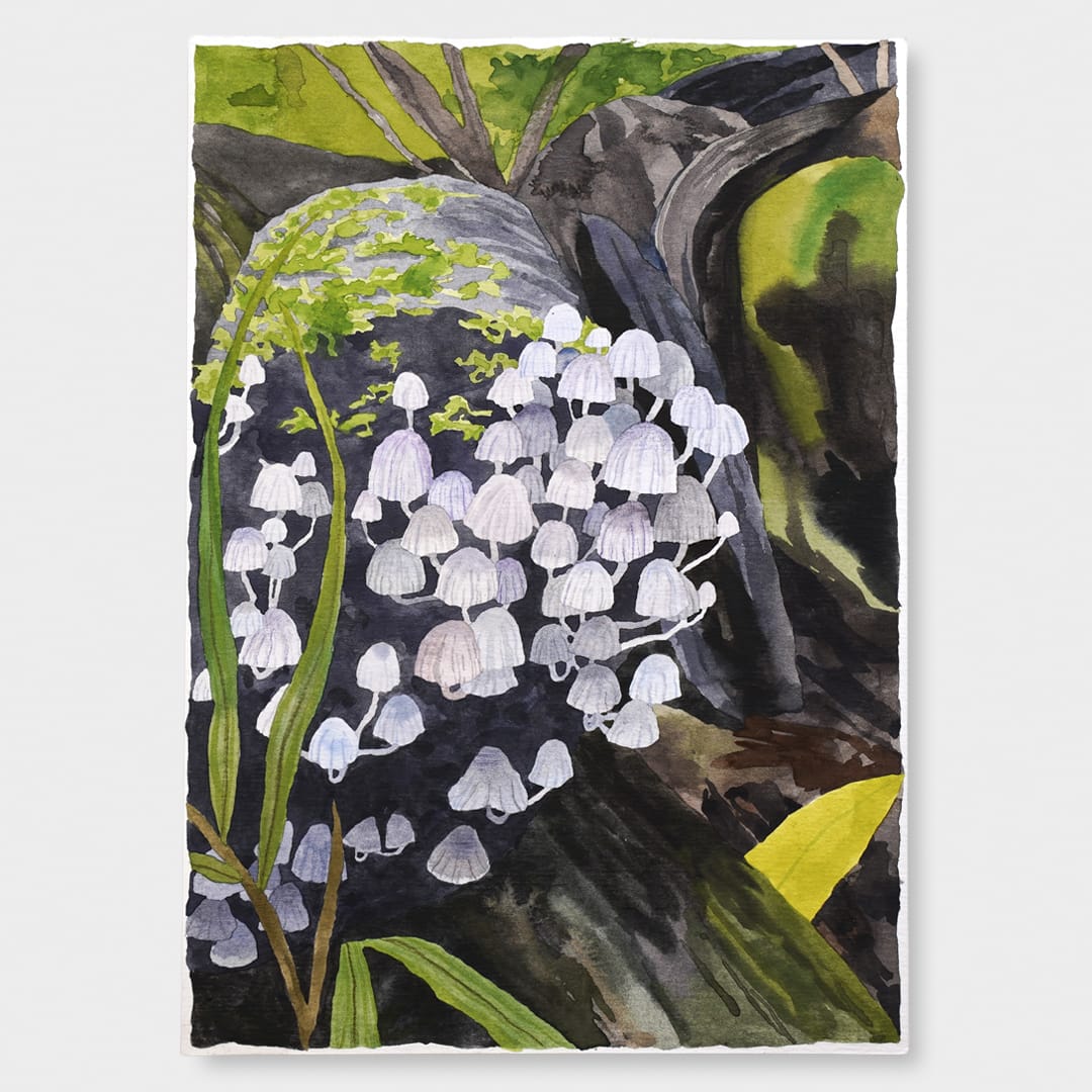 Fungi Family Original Painting by Emma Huia Lovegrove
