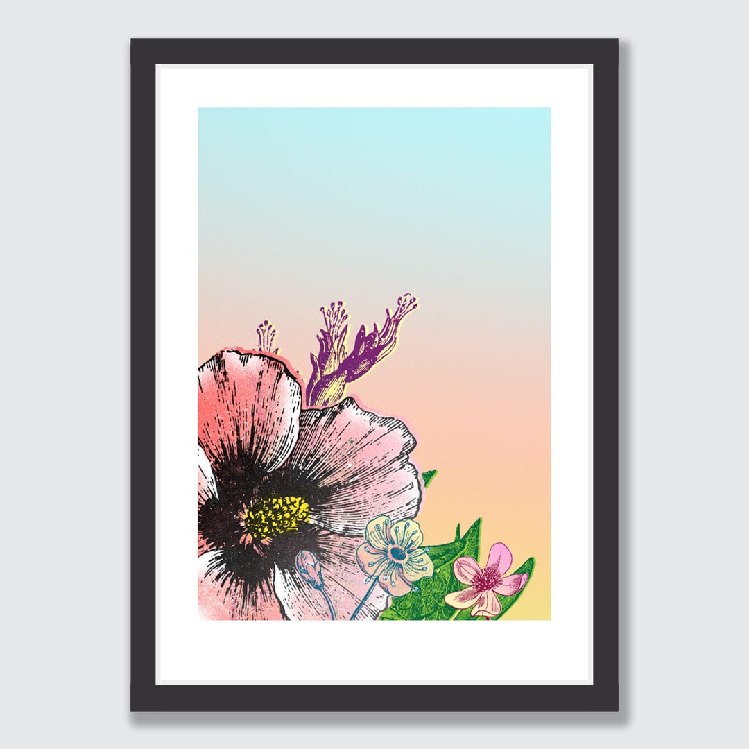 Hibiscus Bloom Limited Edition Art Print by Component