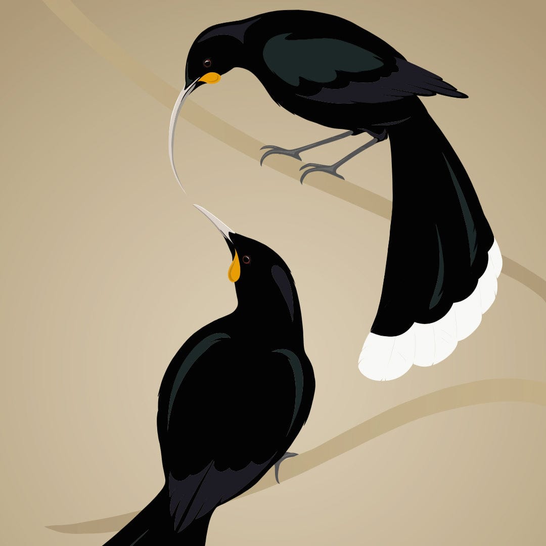 Huia Art Print by Cathy Hansby