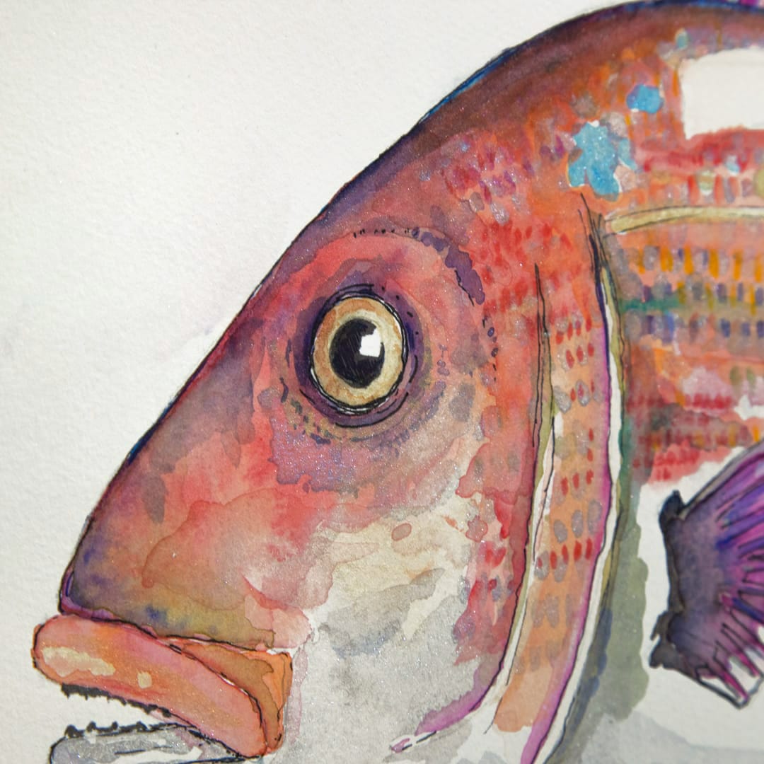 Hungry Snapper Original by Colin Mckay - Bespoke Framed