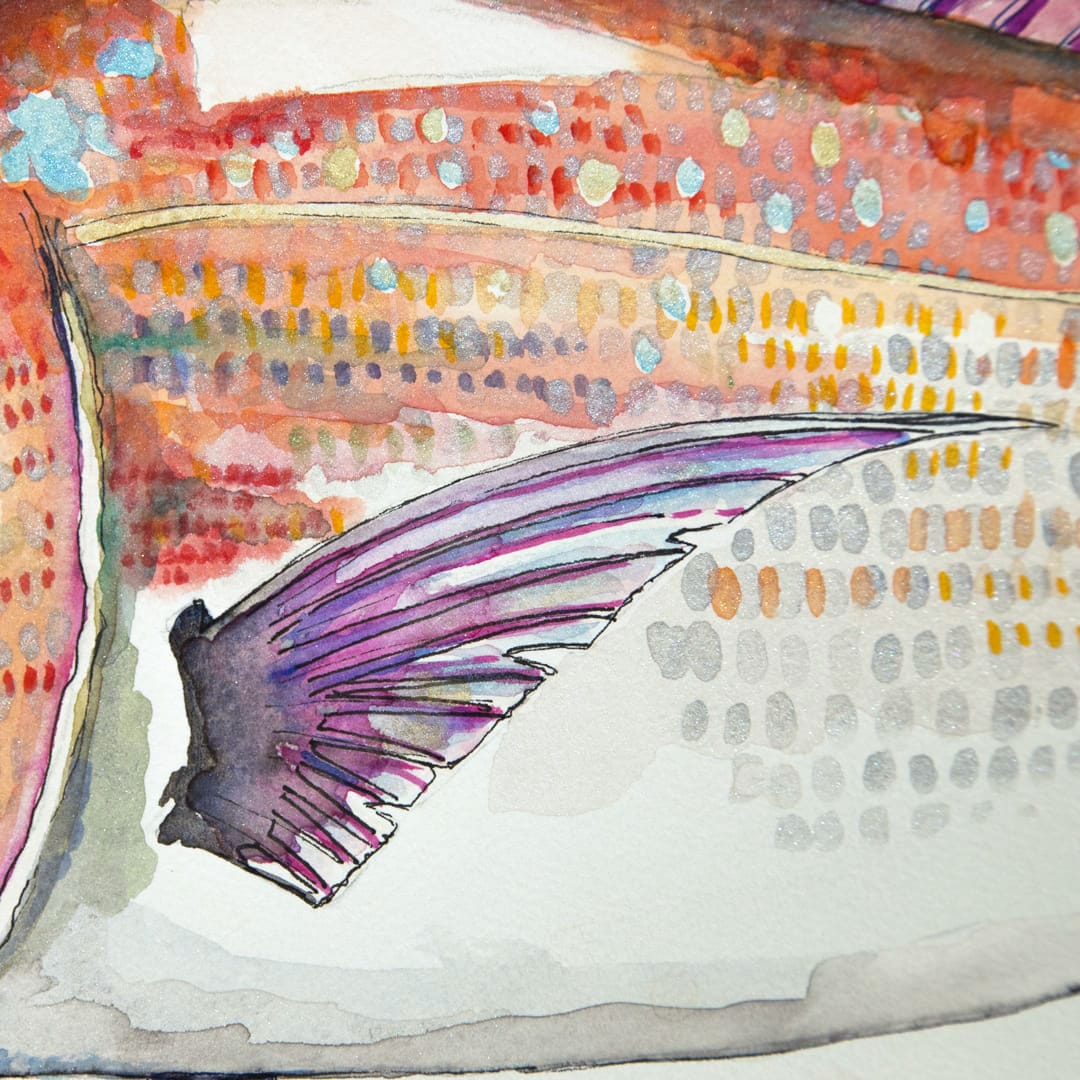 Hungry Snapper Original by Colin Mckay - Bespoke Framed