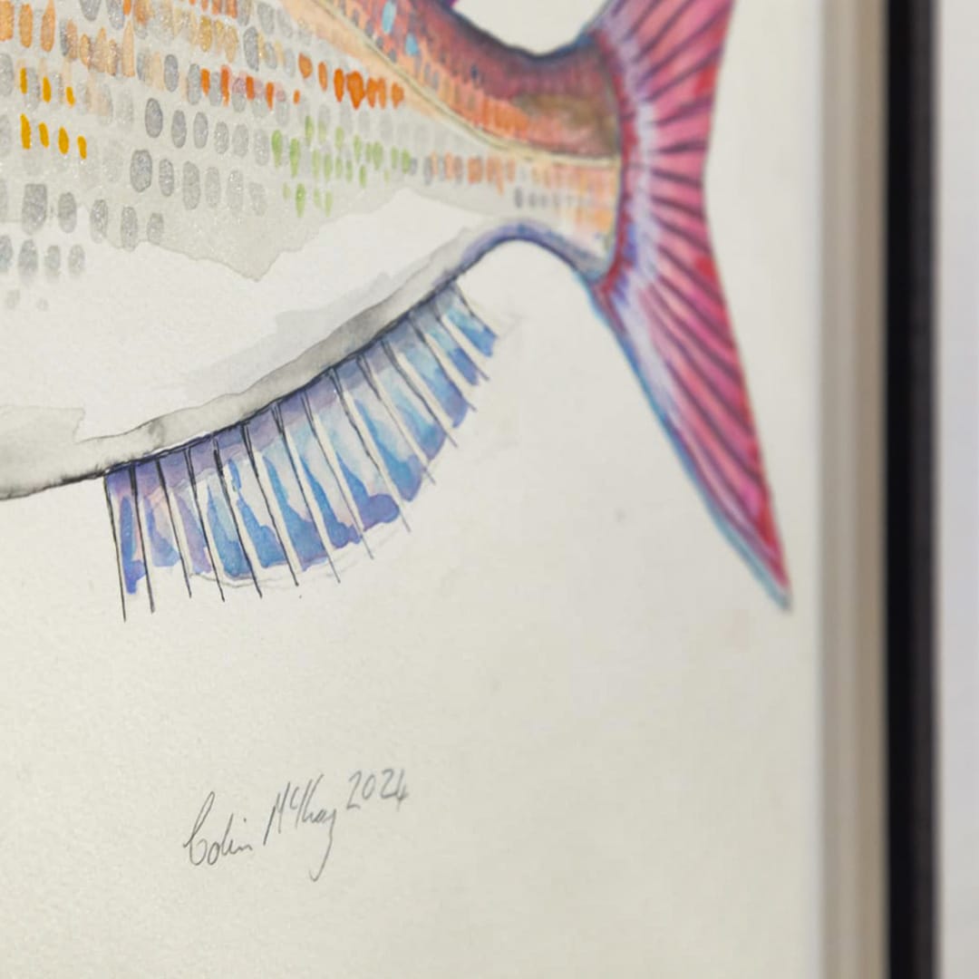 Hungry Snapper Original by Colin Mckay - Bespoke Framed