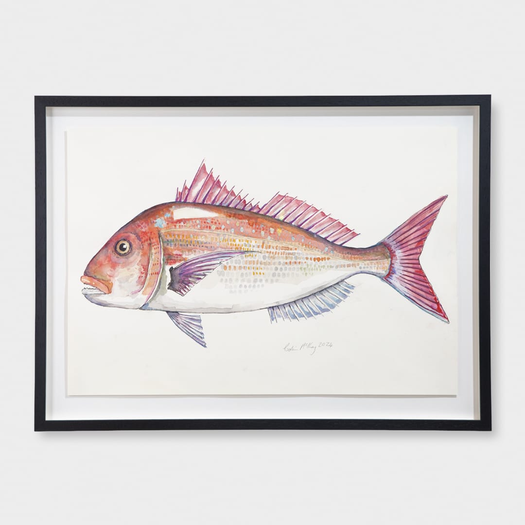 Hungry Snapper Original by Colin Mckay - Bespoke Framed
