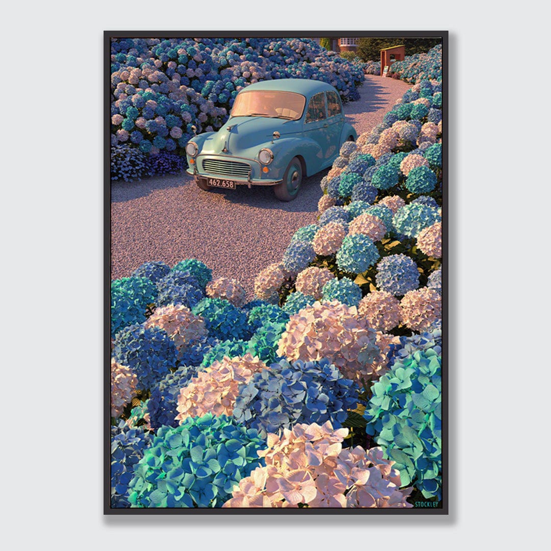 Hydrangea Drive Limited Edition Canvas Print by Simon Stockley