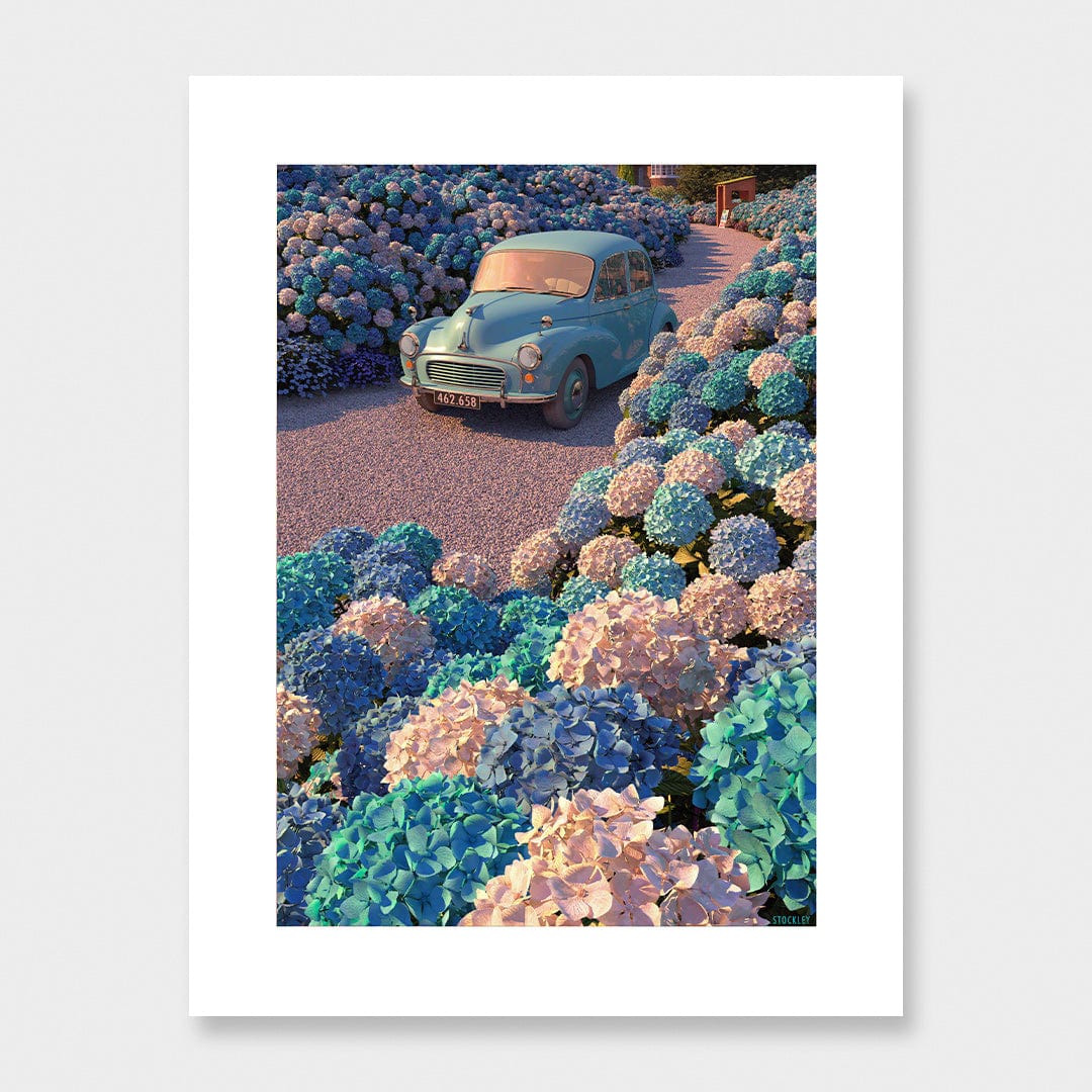 Hydrangea Drive Limited Edition Canvas Print by Simon Stockley