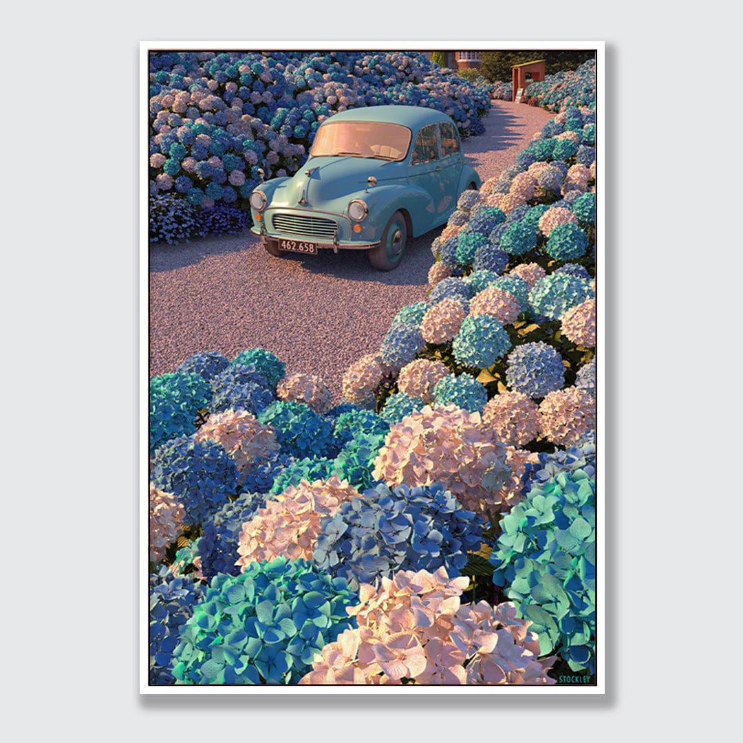 Hydrangea Drive Limited Edition Canvas Print by Simon Stockley