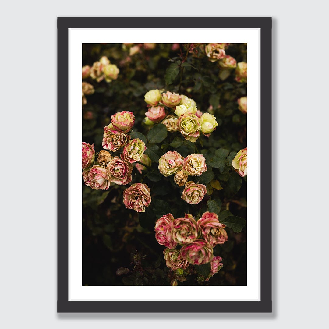 Ina Photographic Art Print by Charlotte Clements