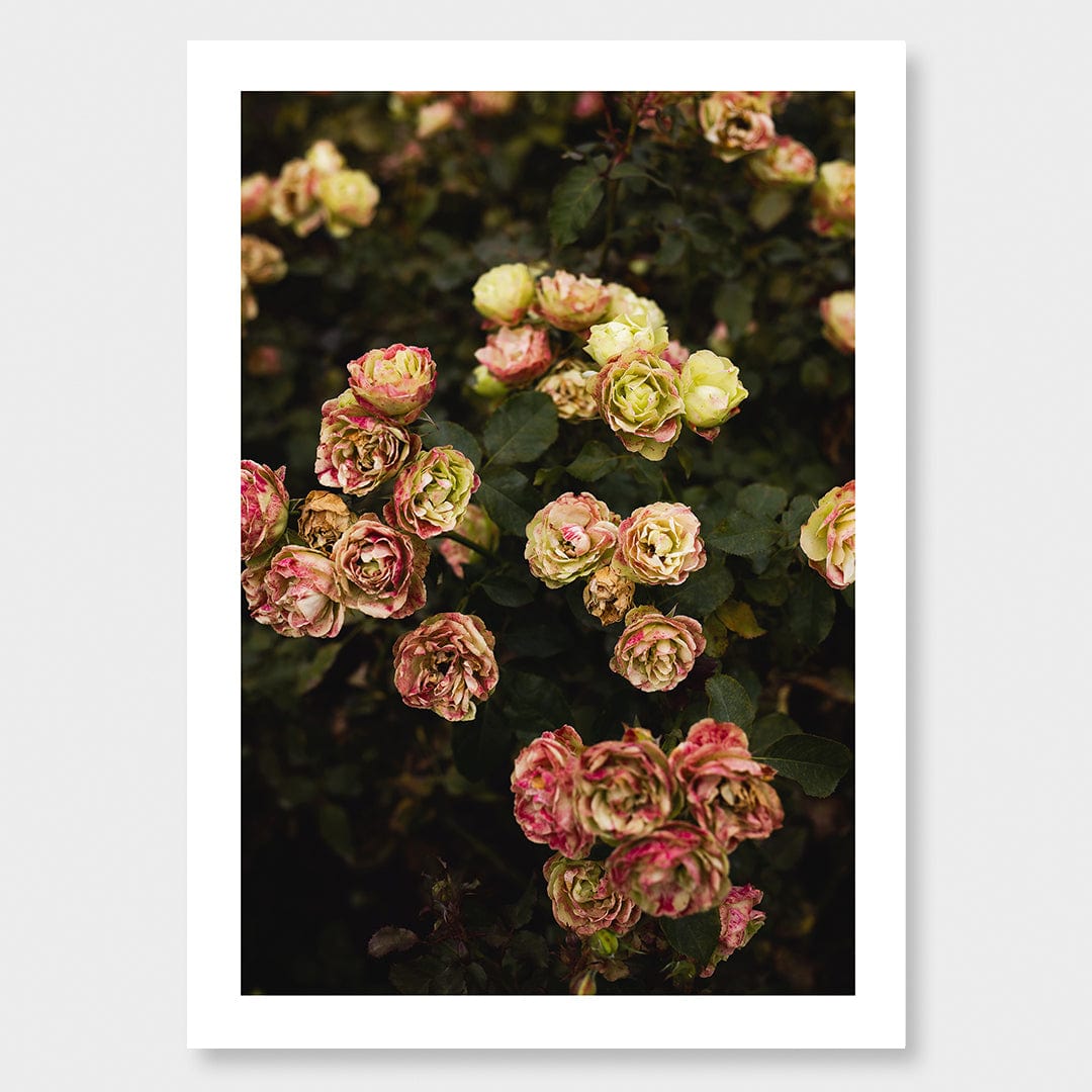 Ina Photographic Art Print by Charlotte Clements