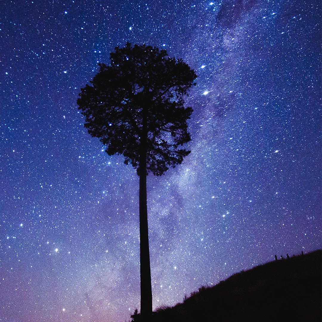 Interstellar Photographic Print by Jeremy Cole