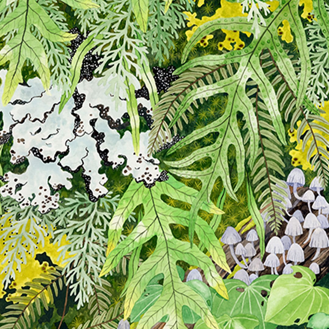 Irirangi Art Print by Emma Huia Lovegrove