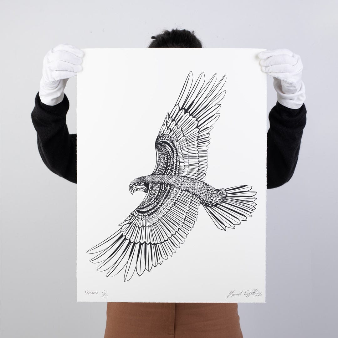 Kārearea Limited Edition Screen Print by Daniel Tippett