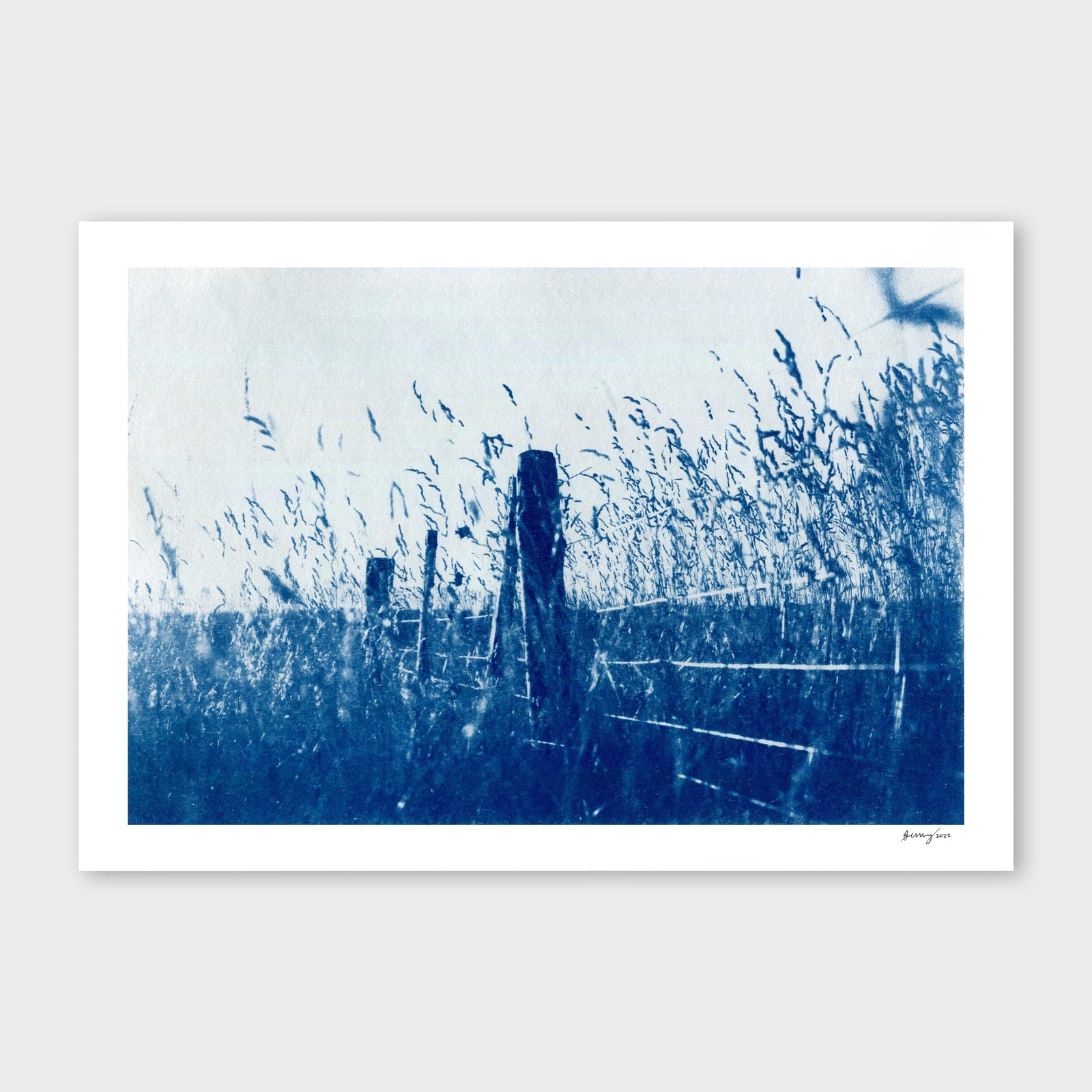 Kaikoura Hills Cyanotype by Sophia Jenny