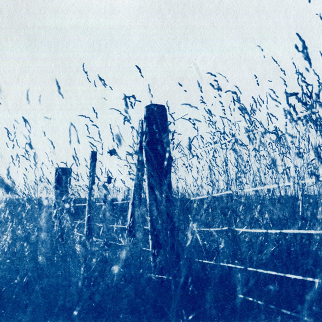 Kaikoura Hills Cyanotype by Sophia Jenny