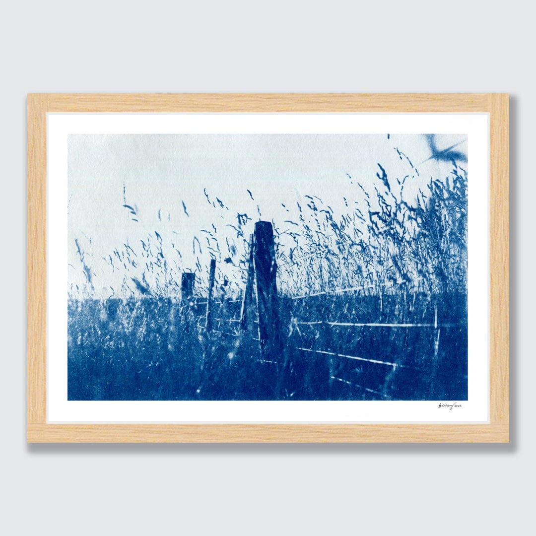 Kaikoura Hills Cyanotype by Sophia Jenny