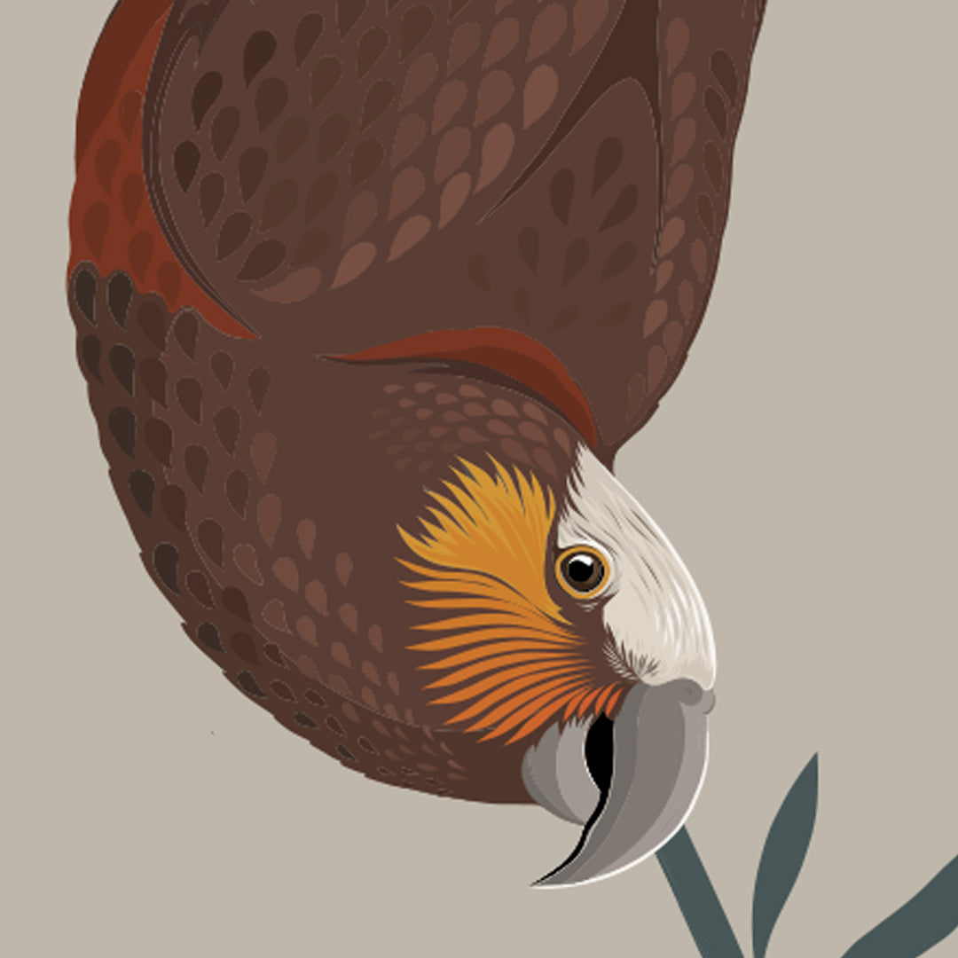 Kaka Art Print by Cathy Hansby