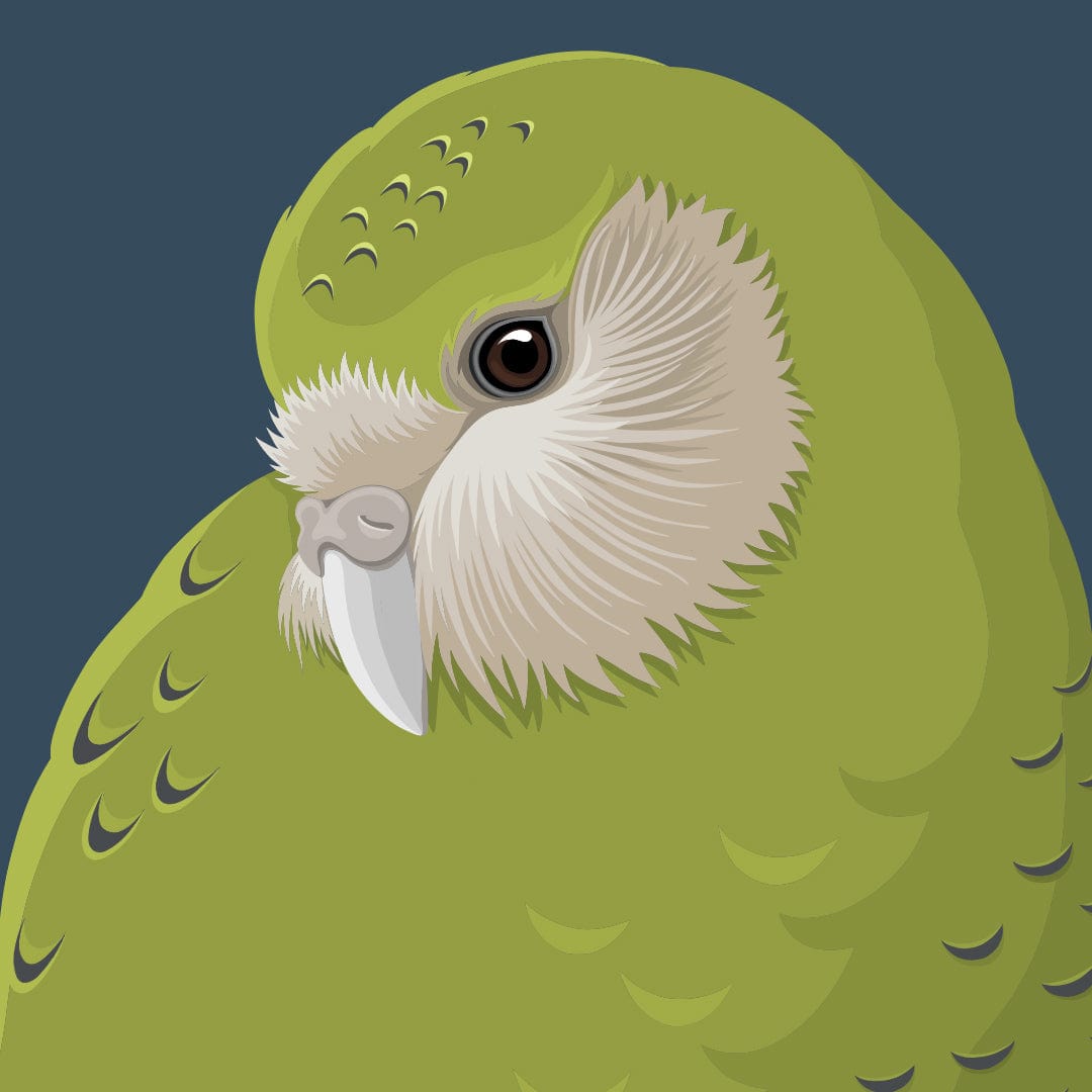 Kakapo Art Print by Cathy Hansby