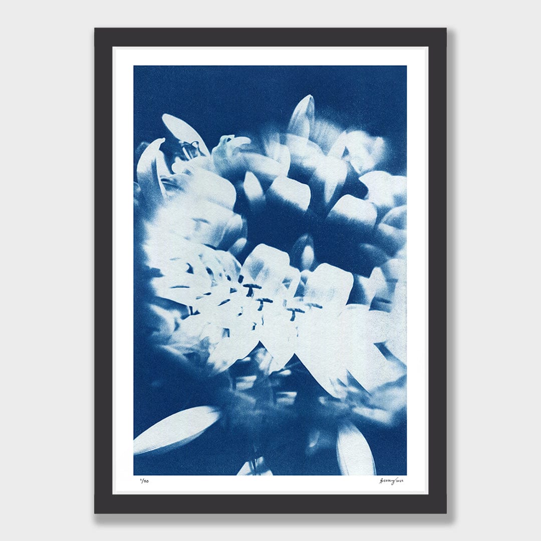 Kaleidoscope Lilies 01 Limited Edition Cyanotype by Sophia Jenny