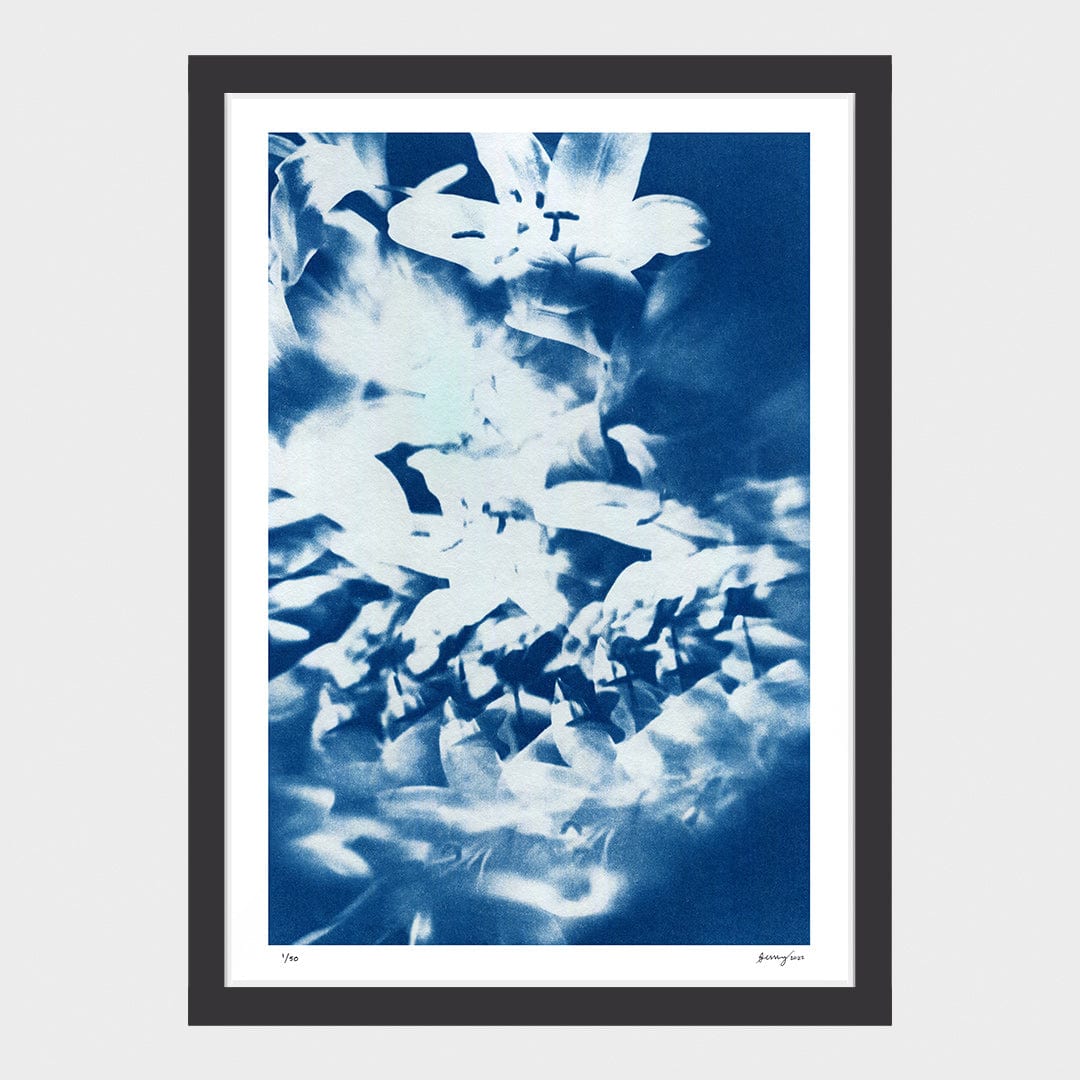 Kaleidoscope Lilies 03 Limited Edition Cyanotype by Sophia Jenny