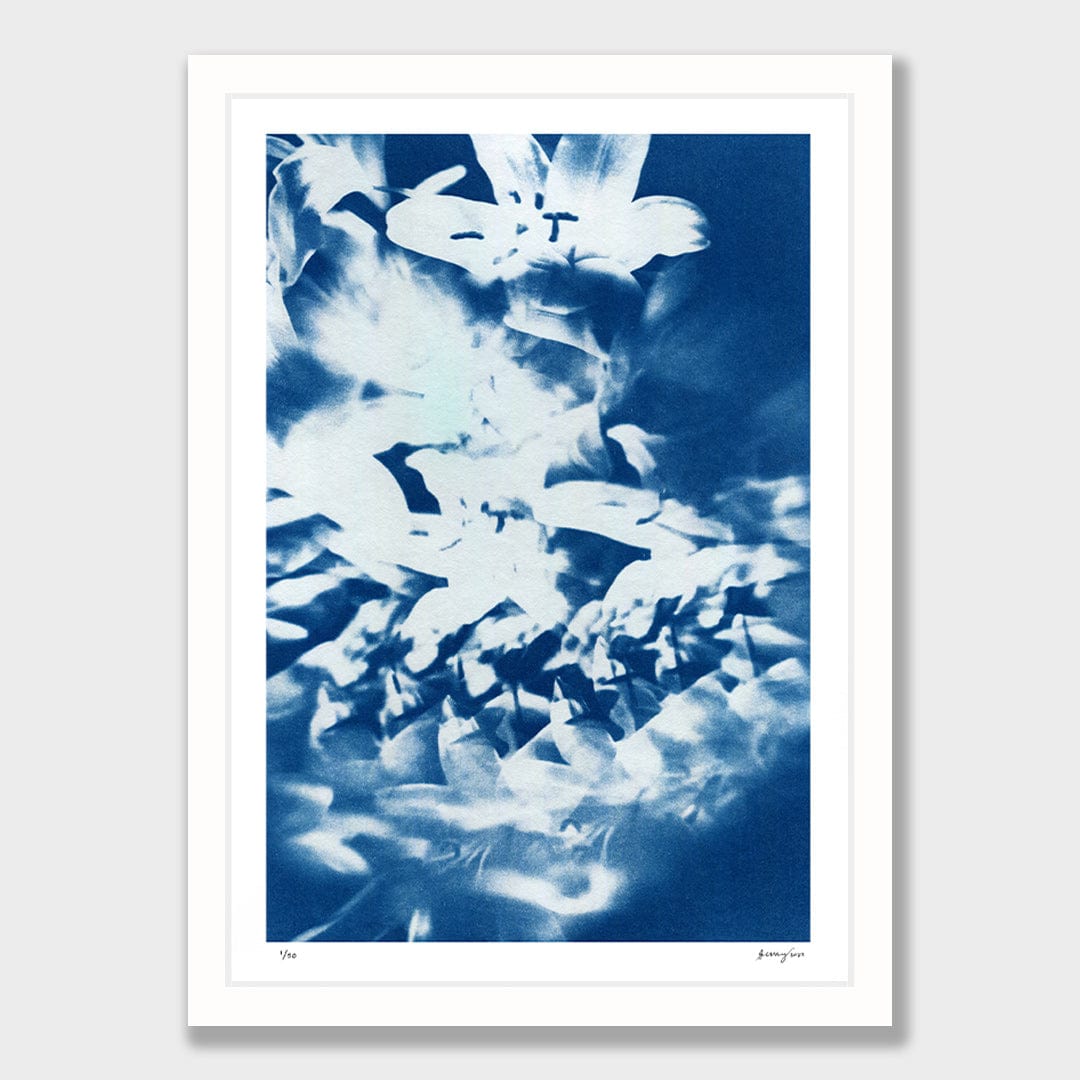 Kaleidoscope Lilies 03 Limited Edition Cyanotype by Sophia Jenny