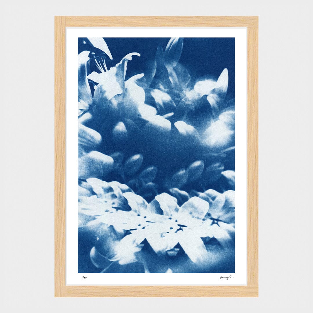 Kaleidoscope Lilies 04 Limited Edition Cyanotype by Sophia Jenny