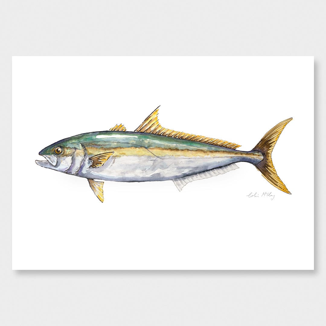 'Karen' Kingfish Art Print by Colin McKay