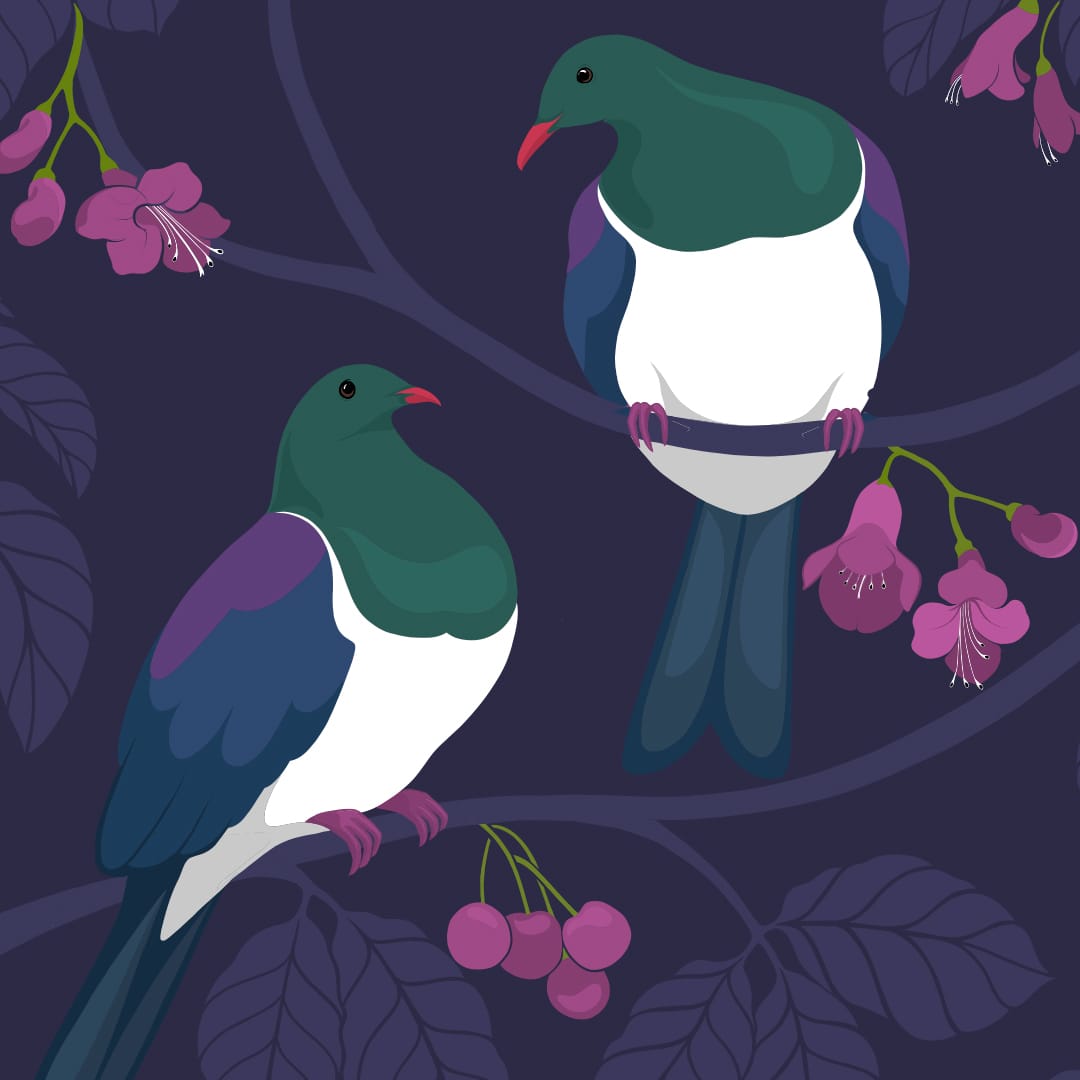 Kererū Pair Art Print by Cathy Hansby