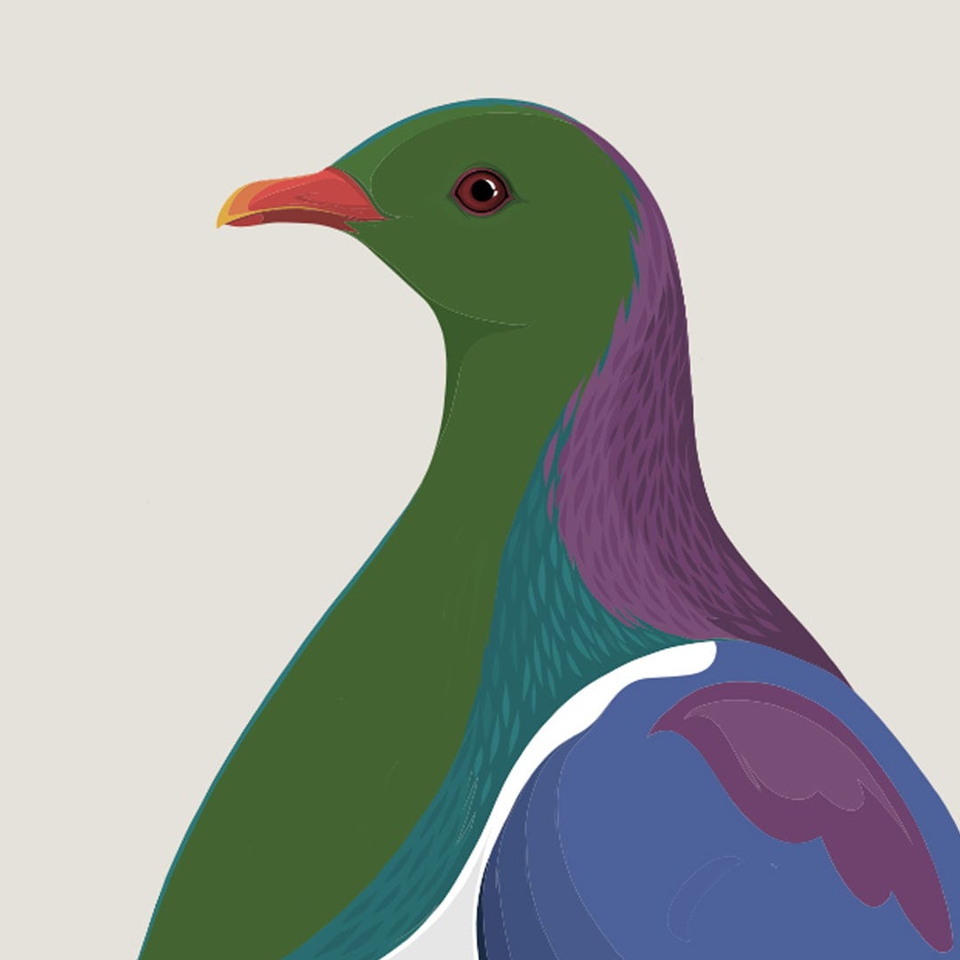 Kereru Art Print by Cathy Hansby