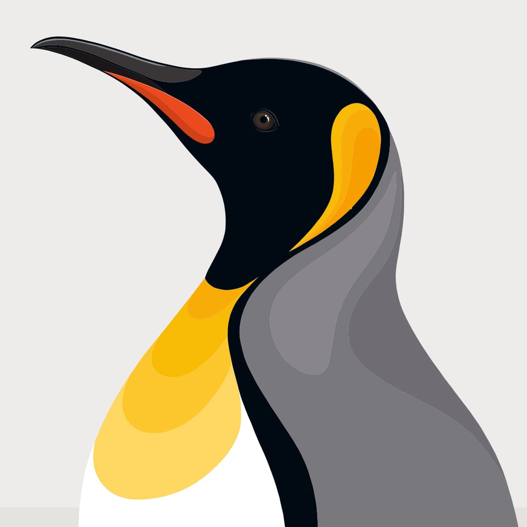 King Penguin Grey Art Print by Cathy Hansby