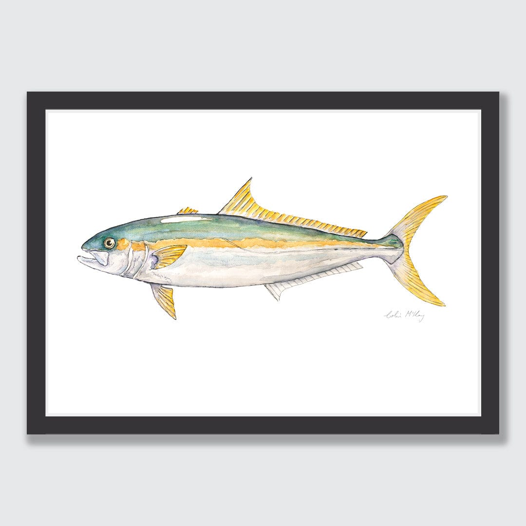 &#39;Kingi&#39; Kingfish Art Print by Colin McKay