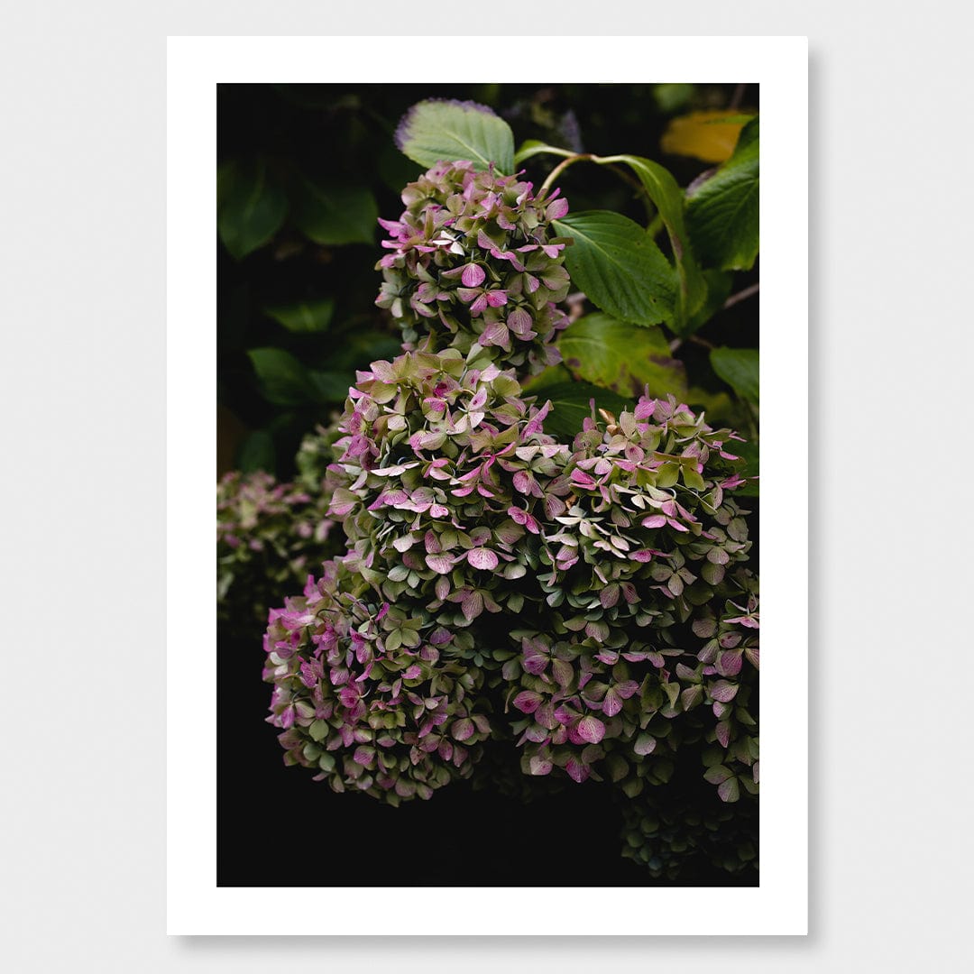 Lilt Photographic Art Print by Charlotte Clements